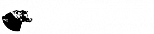 Calm Dog Logo